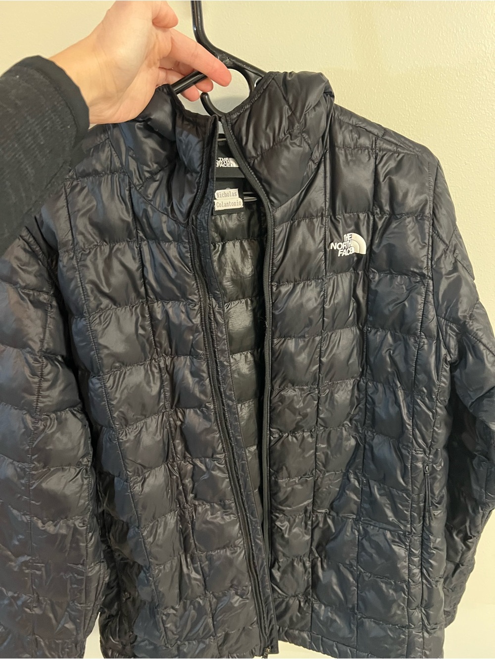 The North Face Men's Black Quilted Packable Puffer Jacket